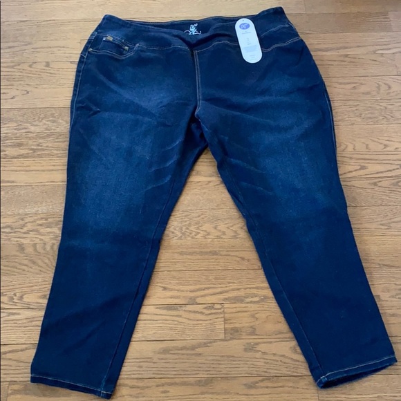 Diane Gilman Denim - NWT Diane Gilman DG2 Jeans 3X